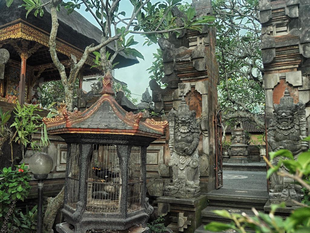 Angga Homestay Ουμπούντ Εξωτερικό φωτογραφία